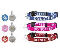 LARRYROO Do Not Feed Cat/Kitten Pet Collar with Safety Buckle, Bell & Personalised Engraved Paw Print Tag (Blue)