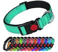 Larryroo Reflective Dog Nylon Collar Slide Lock Safety Buckle Fully Adjustable Soft Neoprene Padding (Turquoise, Large (40Cm -