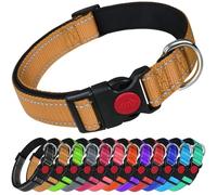 LARRYROO Reflective Dog Nylon Collar | Slide Lock Safety Buckle | Fully Adjustable | Soft Neoprene Padding (Gold, Small (25cm - 40cm Neck))