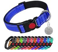 LARRYROO Reflective Dog Soft Padded Nylon Collar | Slide Lock Safety Buckle | Fully Adjustable With Personalised Engraved Round Silver Tag (Royal Blue, Small (25cm - 40cm Neck))