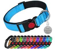 LARRYROO Reflective Dog Soft Padded Nylon Collar | Slide Lock Safety Buckle | Fully Adjustable With Personalised Engraved Round Silver Tag (Sky Blue, Medium (35cm - 50cm Neck))