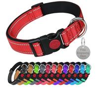 LARRYROO Reflective Dog Soft Padded Nylon Collar | Slide Lock Safety Buckle | Fully Adjustable With Personalised Engraved Round Silver Tag (Red, Large (40cm - 60cm Neck))