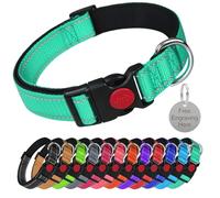 LARRYROO Reflective Dog Soft Padded Nylon Collar | Slide Lock Safety Buckle | Fully Adjustable With Personalised Engraved Round Silver Tag (Turquoise, Extra Large (45cm - 70cm Neck))