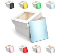LARRYROO Square Colour Cake Drum Board & White Box with Clear Display Window + Lid Combo Pack for Wedding, Birthday Cakes (Light Blue, 10 Inch)