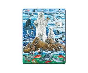 Larsen FH42 Polar Bears and Walrus on the Artic Ice Pack, 46 Piece Boxless Tray & Frame Jigsaw Puzzle