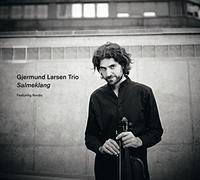 Larsen,Gjermund Trio - Salmeklang (Lp) [VINYL]