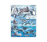 Larsen Puzzle FH48 Antarctica Wildlife, Ages 7+, Educational Nature Jigsaw, 66 Contour & Figure Pieces, Boxless Tray & Frame, Learn About Penguins & Seals