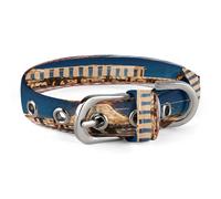 Las Vegas Night Dog Collar Adjustable Pet Collar Stainless Steel D-Ring Collar Oxford Cloth Cat Collar Strap with Metal Buckle for Small Medium Dog