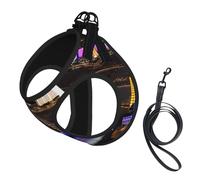 Las Vegas Night Printing Dog Summer Harness With Leash Set,Adjustable And Reflective Step-In Puppy Pet Vest Harnesses