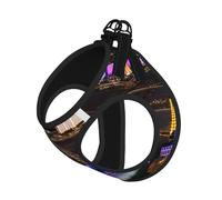 Las Vegas Night Printing Dog Summer Harness With Leash Set,Adjustable And Reflective Step-In Puppy Pet Vest Harnesses