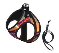 Las Vegas Sunset 1 Print Small Dog Harness with Leash Set, No Escape Easy Walk Puppy Harnesses for Training Walking