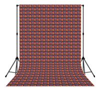Las Vegas Sunset 1print Photography Backdrop Photo Cloth Studio Graduation Wedding Photoshoots Background