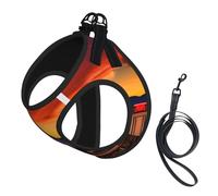 Las Vegas Sunset Print Small Dog Harness with Leash Set, No Escape Easy Walk Puppy Harnesses for Training Walking