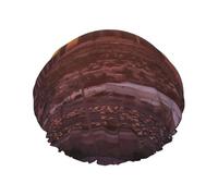 Las Vegas Sunset Shower Cap for Women Double Layers Thick Hair Caps Reusable Waterproof Bath Caps with Elastic Band Hair Hat Washable Shower Hat for Men Women Spa Salon