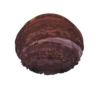 Las Vegas Sunset Shower Cap for Women Reusable Waterproof Shower Bonnet Washable Elastic Band Bath Hair Hat Double Layered Bath Cap Extra Large for Long Hair