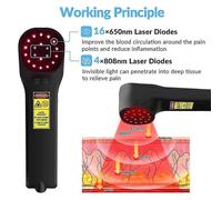 Laser Terapeutico Fisioterapia Family Cold Laser Therapy Pain Relief Infrared Prostate Treatment 808nm 650nm Lllt Physiotherapy UK Plug