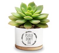 Lasimfa Please Don't Die Ceramic Succulent Planter Pots Cactus Flower, Funny Planter Pots for Plant Lovers Friends Friends Birthday Christmas Thanksgiving Gift, 3.6 Inch (Plant Not Included)