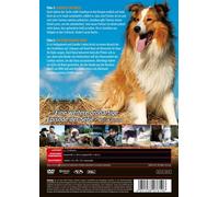 LASSIE IST DIE BESTE - GARY GRAY,PAUL KELLY,KEVIN SORBO DVD NEW