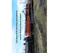 Last Days of the Brooklyn Roundhouse and her Railway Steam Engines