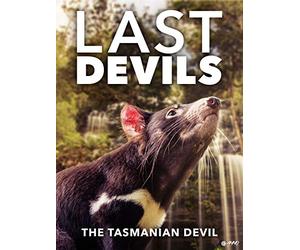 Last Devils - The Tasmanian Devil