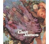 Last James - Kindergarten [Vinyl LP] [VINYL]