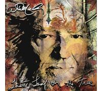 Last Leaf Of The Tree