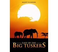 Last Of The Big Tuskers