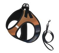 Last Sun Rays of Over The Sea Waves print Dog Harness and Leash Set, Reflective Adjustable Puppy Vest for Small Medium Large Dogs, Cats