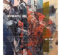 The Pineapple Thief - Last to Run - CD (2024)
