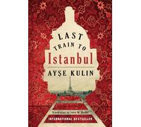 Last Train to Istanbul: A Novel