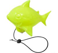 Lastdaytime Anchor Buoy Marker With For DOLPHIN Figure For Sand Anchor Tracking On Beaches Lakes And Inland Waters(A)