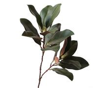 Lastdaytime Simulated Magnolia Leaves On Flexible Branches With Embedded Wire, Crafted For Home Decoration Use, Offering The Ability To Shape And Customize Floral Displays