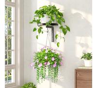 LASZOLA Plant Hangers Shelves Wall Mounted Indoor, Metal Window Plant Holders, 1PC Modern Floating Flower Display Stand with 1 Hook for Outdoor Kitchen Bathroom Decor, Black