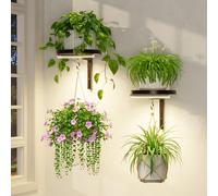LASZOLA Plant Hangers Shelves Wall Mounted Indoor with Grow Lights, Metal Window Plant Holders, 2Pcs Modern Floating Flower Display Stand with 2 Hooks for Outdoor Kitchen Bathroom Decor, Black