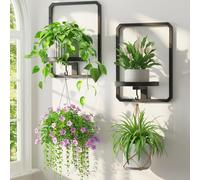 LASZOLA Plant Picture Frame Holder Shelf Wall Window Indoor, 2 Pcs Black