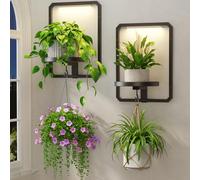 LASZOLA Plant Picture Frame Holder Shelf Wall with Lights, 2 Pcs Black