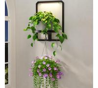 LASZOLA Plant Picture Frame Holder Shelf Wall with Lights, Black