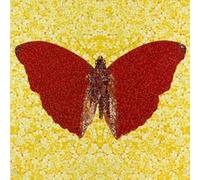 LATAFA Damien Hirst Poster And Prints Abstract Butterfly Wall Art Damien Hirst Canvas Painting Damien Hirst Pictures For Room Home Decor 50x50cm No Frame