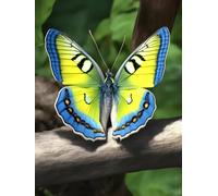 Latch Hook Craft Kits Cartoon Butterfly Animal Latch Hook Rug Kit Diy Cushion Making，Diy Tapestry For Home Decor Teenager And Adults Carpet Set 31x45in