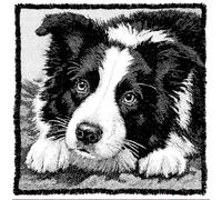 Latch Hook Cushion Kit Border Collie Dog Pet Pillowcase Sewing Making Kits DIY Croet Yarn Kits Cross Stitch Embroidery for Adults Kids DIY Craft Carpet Making Kit 43Cmx43Cm