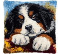 Latch Hook Cushion Kit DIY 17x17 Inch,Bernese Mountain Dog,Beginner Latch Hook Pillow Making Kit with Pre-Cut Yarn,Canvas,Hook & Instructions - Soft Acrylic Yarn Home Decor Embroidery Craft Set