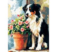 Latch Hook Cushion Kits Border Collie And Potted Plants Diy Latch Hook Rug Set Rugs Knotting Cross Stitch Kit For Beginners And Adults Tapestry Making Tool Kits Embroidery Ser Cushion 23x35in
