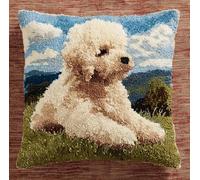 Latch Hook Cushion Kits For Adults 17X17Inch,Poodle On The Grass Latch Hook Pillow Case Kits Embroidery Kits 43X43Cm, Diy Needlework Pillow Cover Cushion Rug Making Kit, Diy Craft Kit For Wo