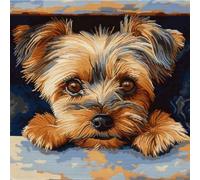 Latch Hook Cushion Kits for Adults Brown Yorkshire Terrier Puppy Dog Rug Cover Pillowcase Kids Beginner DIY Needlework Embroidery Kits Handmade Set Craft Sofa Home Decor 43x43cm,1pcs