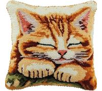 Latch Hook Cushion Kits for Adults Sleeping Ginger Cat Cute Kitten Rug Cover Pillowcase Kids Beginner DIY Needlework Embroidery Kits Handmade Set Craft Sofa Home Decor 43x43cm,1pcs