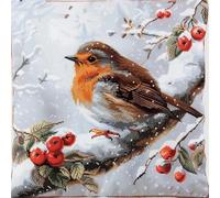 Latch Hook Cushion Kits for Adults Snow Robin Bird On Branch Winter Rug Cover Pillowcase Kids Beginner DIY Needlework Embroidery Kits Handmade Set Craft Sofa Home Decor 43x43cm,1pcs
