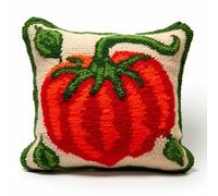 Latch Hook Kit DIY Throw Pillow Cover Sofa Cushion Cover Pattern Paint Cross Stitch 16.9X16.9 inch-Tomato (101) B