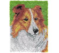 Latch Hook Kit for Adults & Kids Complete DIY Rug Making Craft Kits with Yarn & Canvas and Crochet Needle, Adult Craft Kits for Women, Relaxing Home Art Project - Yellow Border Collie 50x38cm