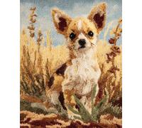 Latch Hook Kits Chihuahua in The Field 15X20In/52X38Cm DIY Latch Hook Rug Kit, Home Carpet Rug Making Kit Cross Stitch Embroidery Kits Needlework Crafts Rug for Home Decor