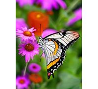 Latch Hook Kits Colorful Butterflies And Flowers Latch Hook Rug Cross Stitch Embroidery Set,Diy Tools For Beginners,Adults,Tapestry Kit Cushion Knotting Carpets 31x45in